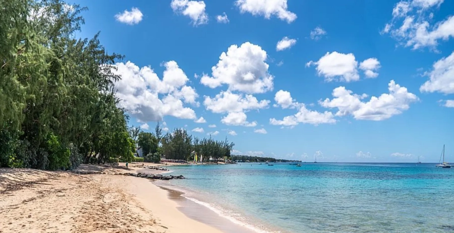 Honeycomb House St. James Vacation Villa - Barbados