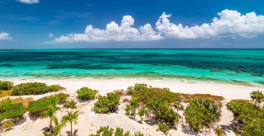 Sandpiper Turks & Caicos Islands Vacation Villa - Turks & Caicos 