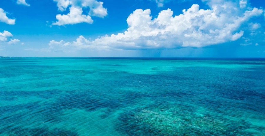 Sandpiper Turks & Caicos Islands Vacation Villa - Turks & Caicos 