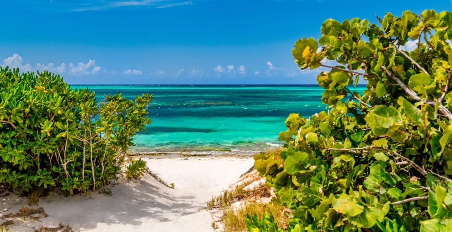 Sandpiper Turks & Caicos Islands Vacation Villa - Turks & Caicos 