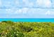 The Tree House Turks and Caicos, Caribbean Vacation Villa - Grace Bay, Providenciales