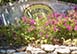 Caribean Vacation Rental - Jasmine by the Sea, Providenciales, Turks and Caicos