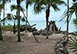 Parrot Cay Villa Rental