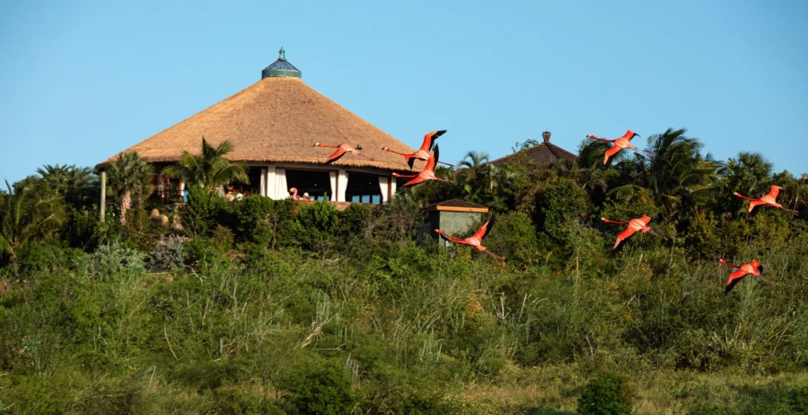 Necker Island BVI Vacation Villa - Private Islands