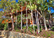 Treehouse at Steele Point British Virgin Islands Vacation Villa - Tortola