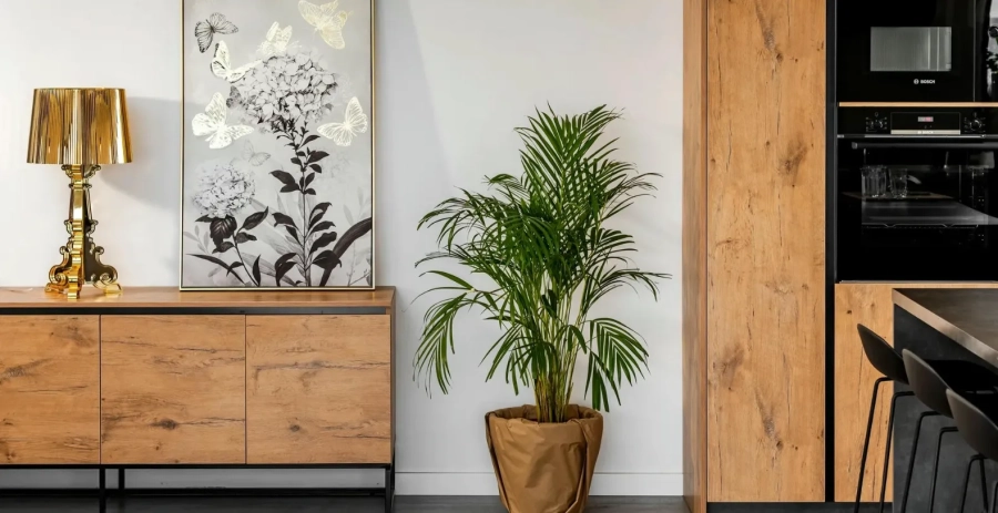 Villa Maderga Vacation Villa - Croatia