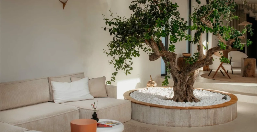 Villa Oliveto  Vacation Villa - Croatia