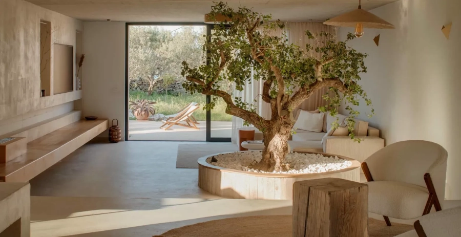 Villa Oliveto  Vacation Villa - Croatia