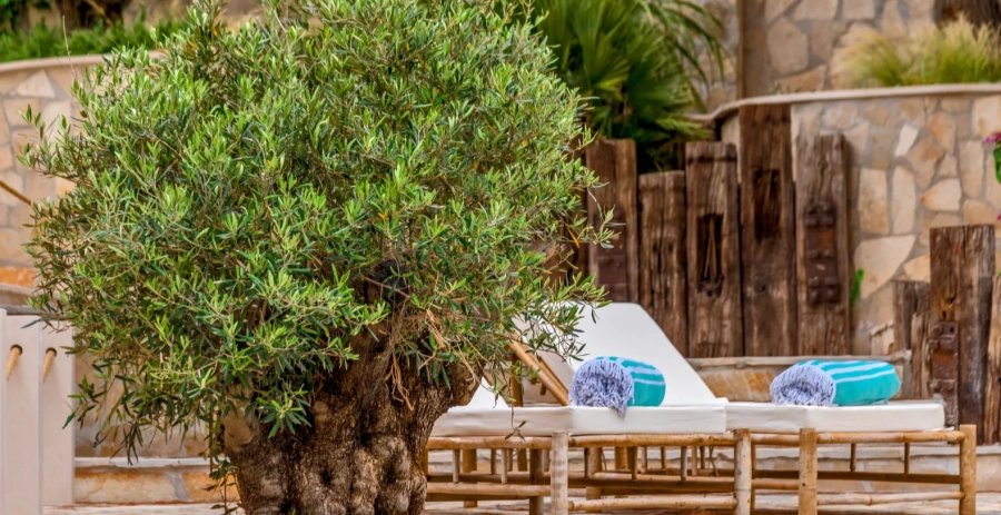 Villa Boho  Vacation Villa - Croatia