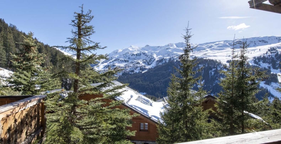 Chalet Genepi France Vacation Villa - Meribel