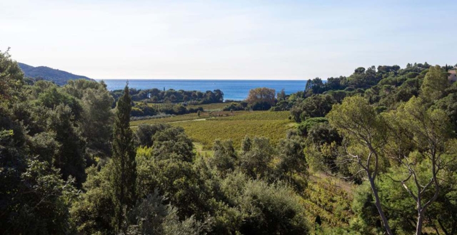 Grigaro Retreat La Croix Valmer Vacation Villa - Grigaro