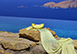 Drakothea Mykonos Greece Holiday Rental