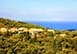 Villa Rose Corfu Greece, Greek Islands Rental