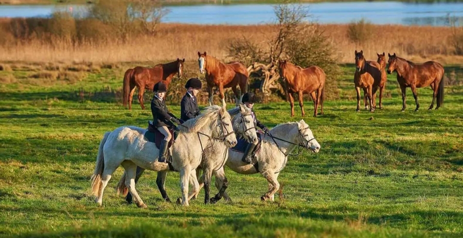 Irish Country Manor Ireland Vacation Villa - Catherlistrane, Co. Galway