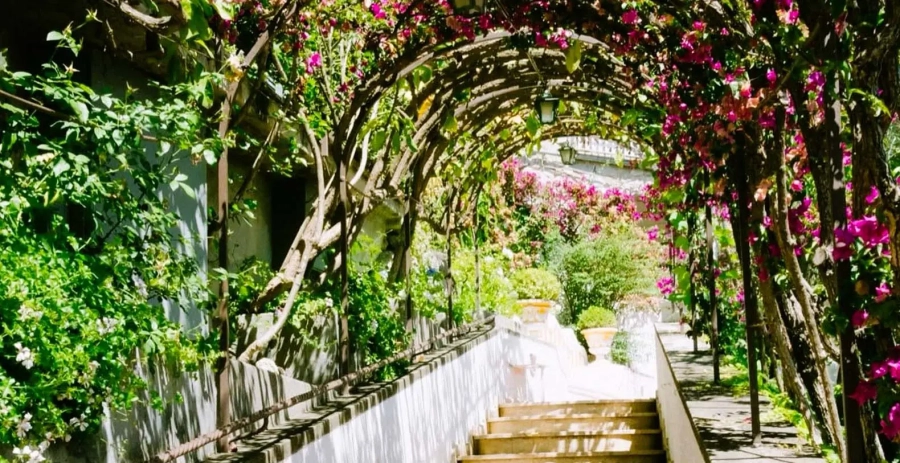 Boheme Positano Italy Vacation Villa - Positano, Amalfi Coast