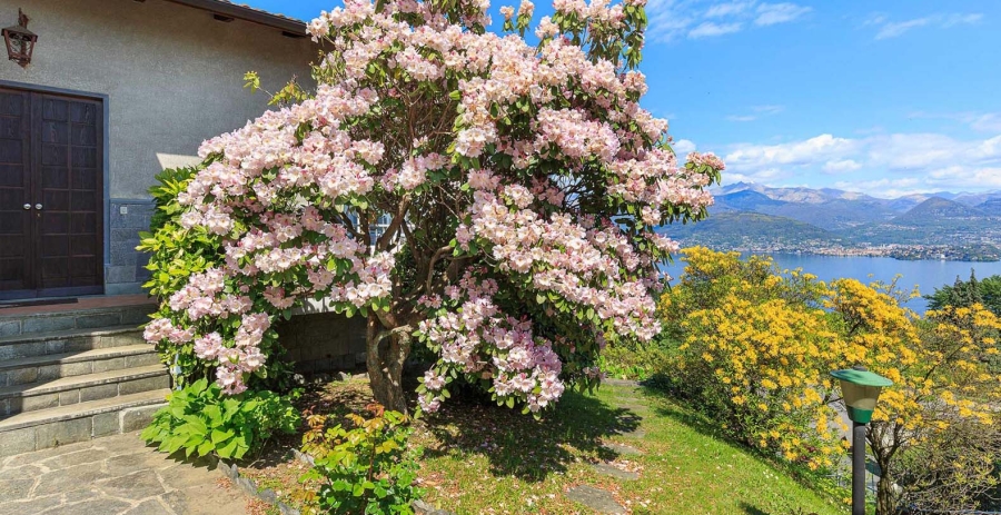 Casa Laura Lake Maggiore, Italy Vacation Villa - Stresa