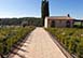 Casa Luigi Italy Vacation Villa - Tuscany