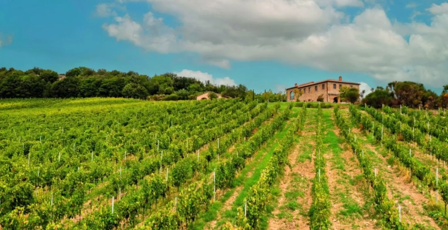 Casale Santa Lucia Tuscany Vacation Villa - Italy