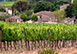 Castel Monastero Italy Vacation Villa - Chianti, Tuscany