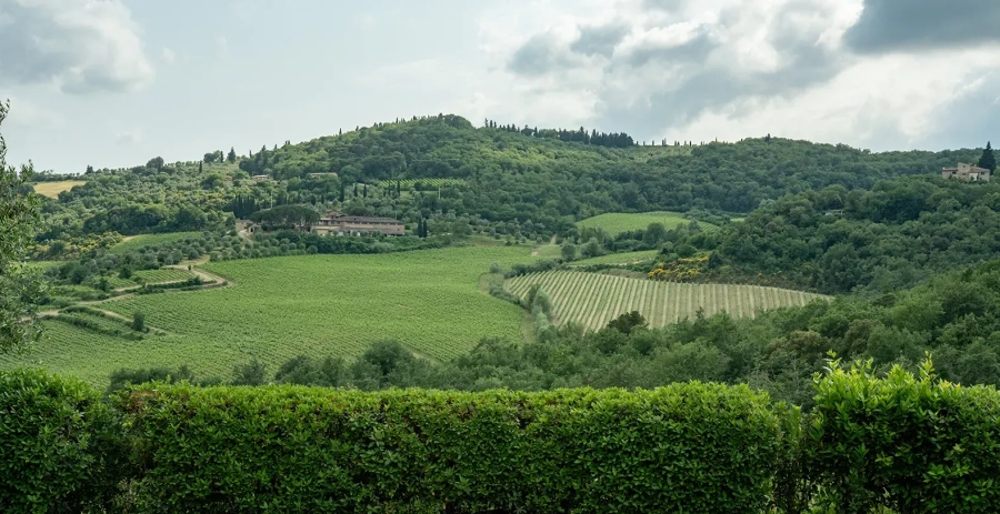 IL PRATO Tuscany Vacation Villa - Italy