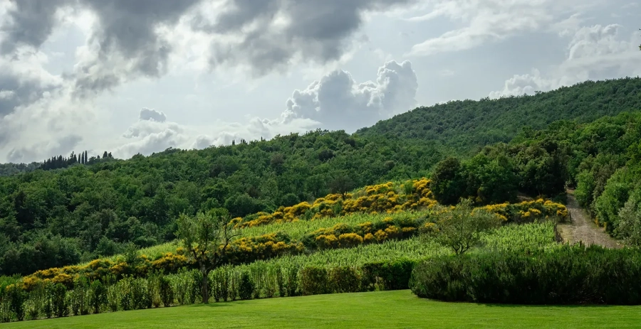 IL PRATO Tuscany Vacation Villa - Italy