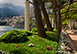 La Divina Italy Vacation Villa - Positano, Amalfi Coast