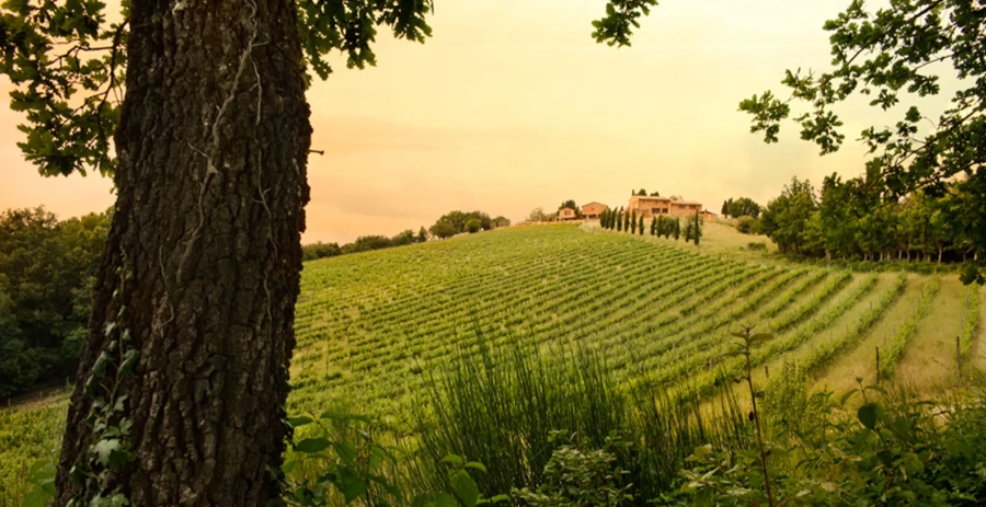 La Fonte di Barbena Tuscany Vacation Villa - Italy