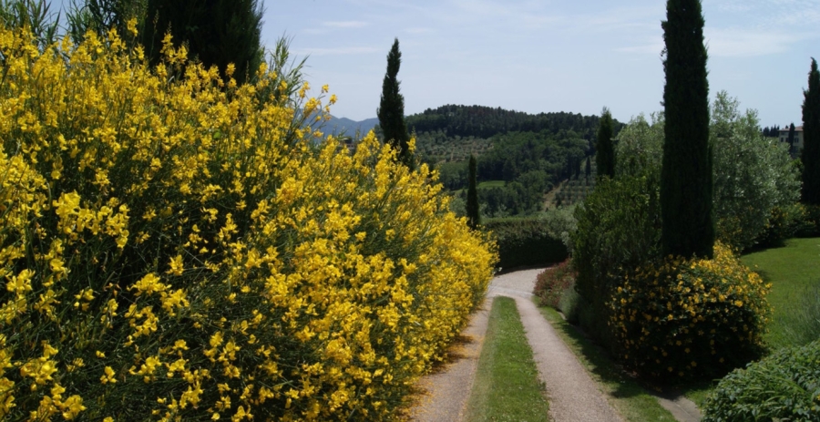 La Pieve Tuscany Vacation Villa - Italy