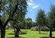 San Giustino Estate Italy Vacation Villa - Chianti, Tuscany