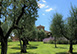 San Giustino Estate Italy Vacation Villa - Chianti, Tuscany