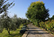Villa Alba Italy Vacation Villa - Florence, Tuscany