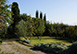 Villa Alba Italy Vacation Villa - Florence, Tuscany