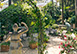 Villa Aurora Italy Vacation Villa - Capri