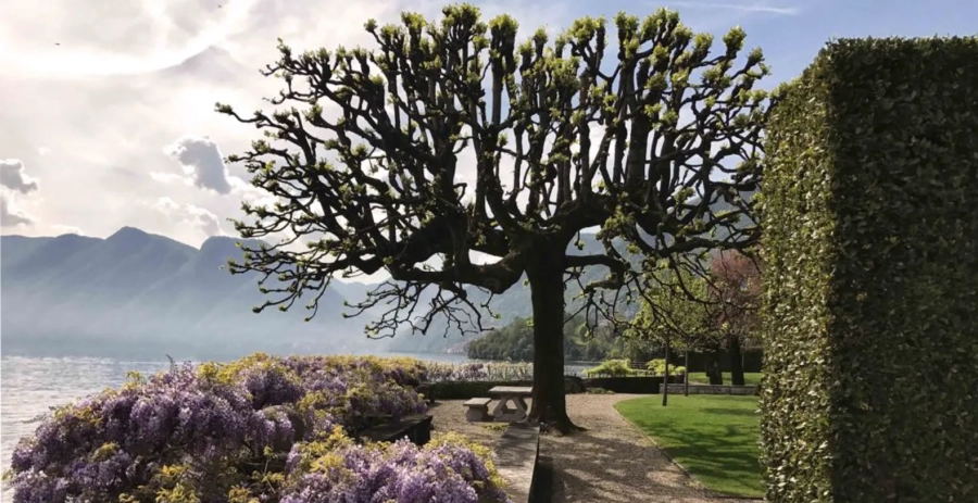 Villa Balbiano Lake Como Vacation Villa - Italy