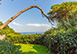 Villa Capricorno Italy Vacation Villa - Ischia, Ischia