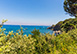 Villa Capricorno Italy Vacation Villa - Ischia, Ischia