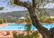 Villa Dell'Angelo Italy Vacation Villa - Tuscany