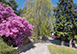 Villa Ermelinda Italy Vacation Villa - Lake Maggiore