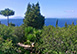 Villa Isola Italy Vacation Villa - Island of Capri, Amalfi Coast