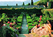 Villa La Foce Italy Vacation Villa - Tuscany