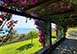 Villa Le Cannicelle, Villammare, Italy Vacation Rental