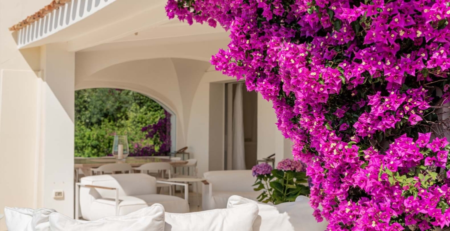 Villa Pamela Sardinia Vacation Villa - Sardinia