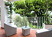 Villa Piazzetta Italy Vacation Villa - Capri