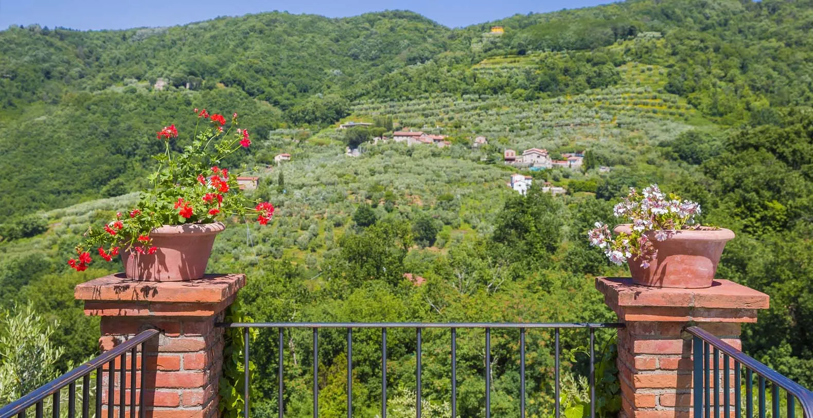 Villa Roncovisi Italy Vacation Villa - Tuscany