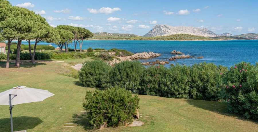 Villa Sofia Sardinia Vacation Villa - Sardinia