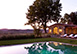 Villa Stabbi Italy Vacation Villa - Tuscany