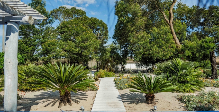 Villa Cashew Comporta Vacation Rental