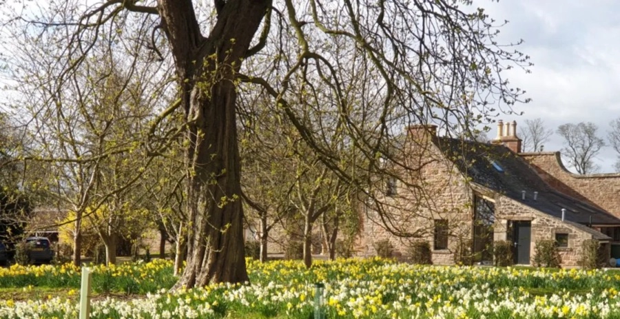 Leuchie Walled Garden  Vacation Villa - Scotland
