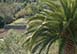 Historic Country Estate Spain Vacation Villa - Deia