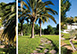 La Grand Dame Spain Vacation Villa - Ibiza
